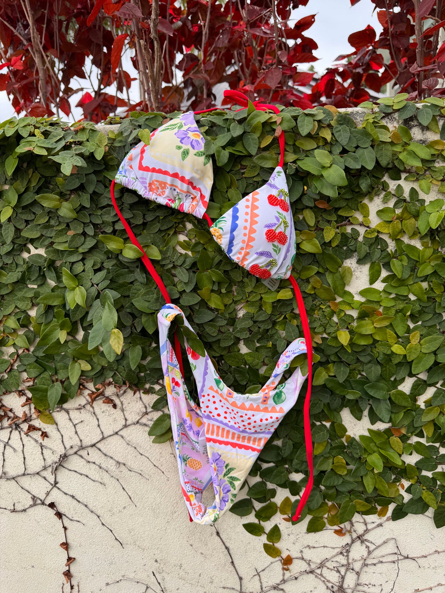 Fruit Stand Bikini