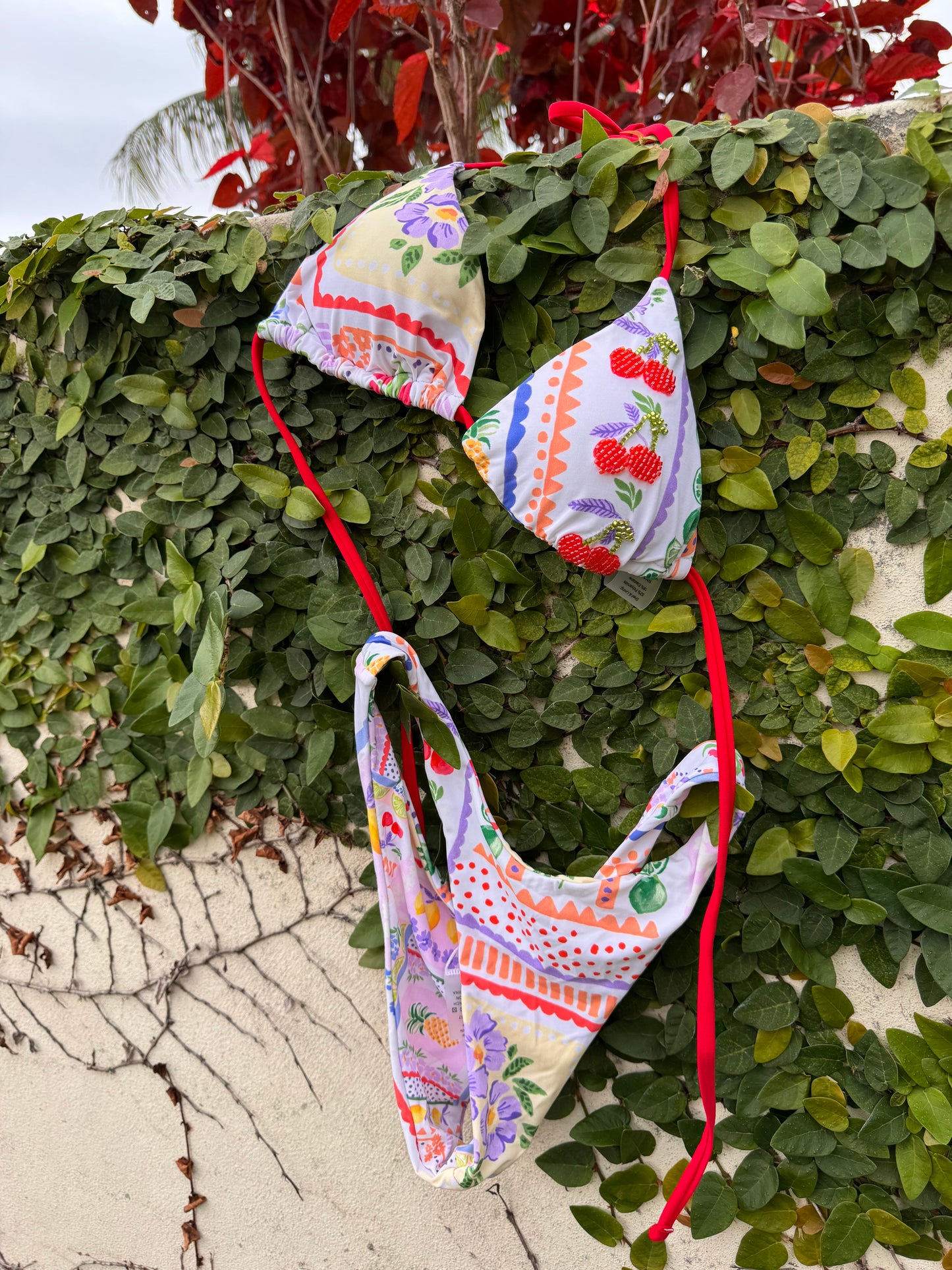 Fruit Stand Bikini